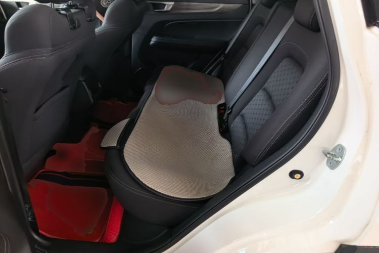 Used Cowin Xuanjie Pro 2024 1.5T CVT Luxury Edition Left Rear Seat
