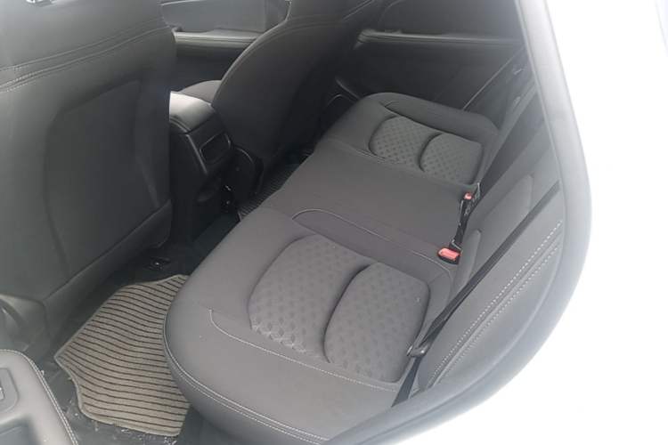 Used Cowin Xuanjie Pro 2025 1.5L Manual Comfort Edition Left Rear Seat