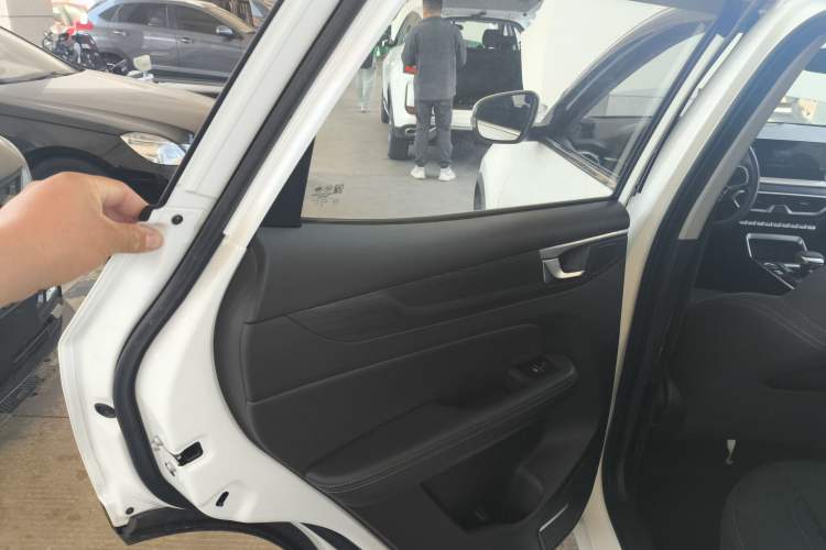 Used Cowin Xuanjie Pro EV 2022 401 km Enjoyment Version Left Rear Door Interior
