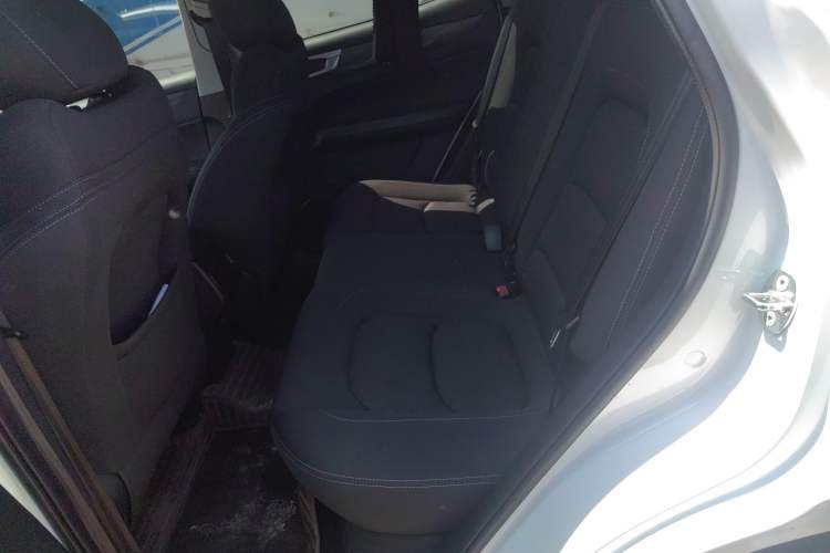Used Cowin Xuanjie Pro EV 2022 401 km Enjoyment Version Left Rear Seat