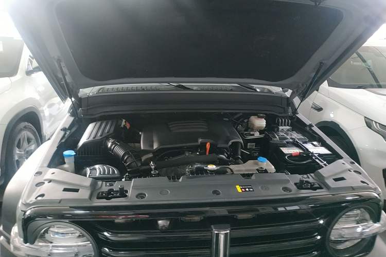 Used Cyberspace 300 2021 Off-Road Edition 2.0T Conqueror Engine Bay