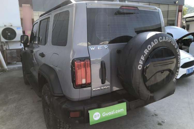 Used Cyberspace 300 2021 Off-Road Edition 2.0T Conqueror Exterior 2