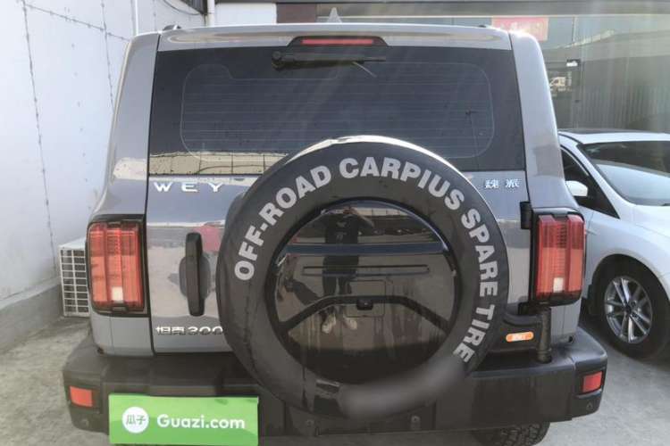 Used Cyberspace 300 2021 Off-Road Edition 2.0T Conqueror Exterior 3