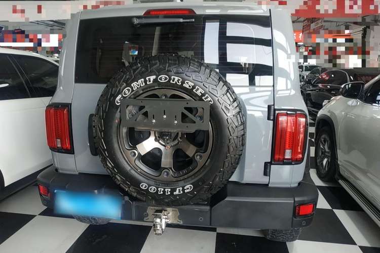 Used Cyberspace 300 2021 Off-Road Edition 2.0T Conqueror Rear