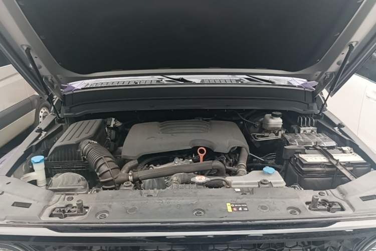 Used Cyberspace Tank 300 2021 2.0T Cyber Tank Engine Bay