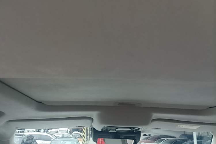Used Cyberspace Tank 300 2021 2.0T Cyber Tank Headliner