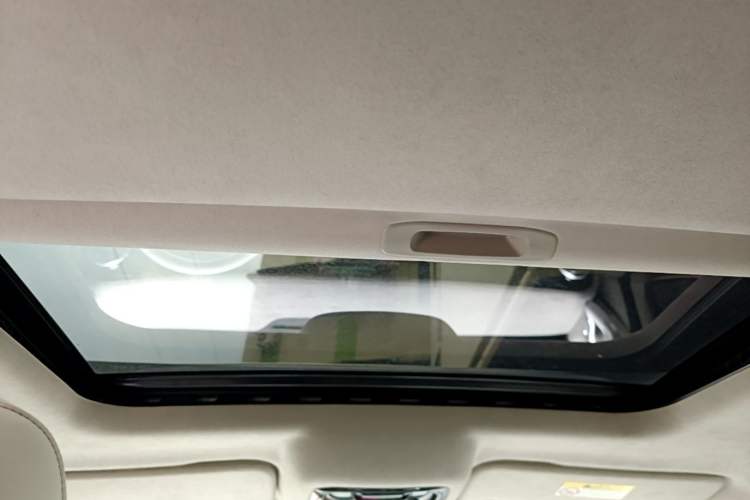 Used Cyberspace Tank 300 2021 2.0T Cyber Tank Headliner