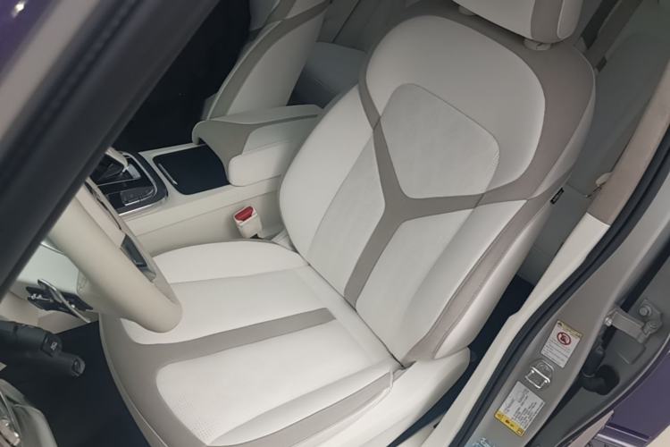Used Cyberspace Tank 300 2021 2.0T Cyber Tank Left Front Seat
