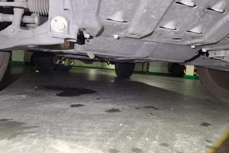 Used Cyberspace Tank 300 2021 2.0T Cyber Tank Chassis Front