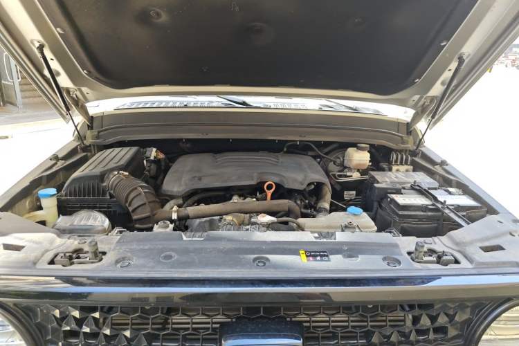 Used Cyberspace Tank 300 2021 2.0T Cyber Tank Engine Bay