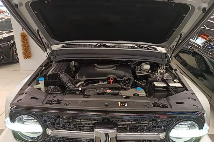 Used Cyberspace Tank 300 2021 2.0T Cyber Tank Engine Bay