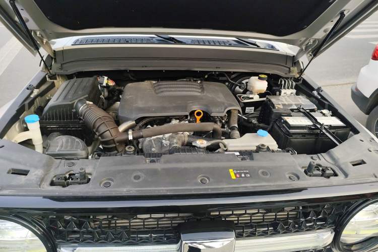 Used Cyberspace Tank 300 2021 2.0T Cyber Tank Engine Bay
