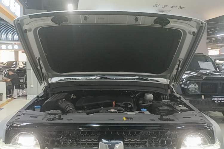Used Cyberspace Tank 300 2021 2.0T Cyber Tank Engine Bay