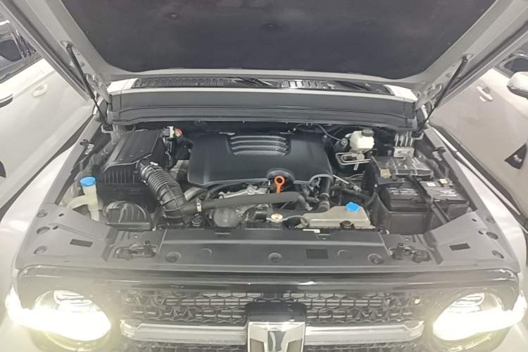Used Cyberspace Tank 300 2021 2.0T Cyber Tank Engine Bay