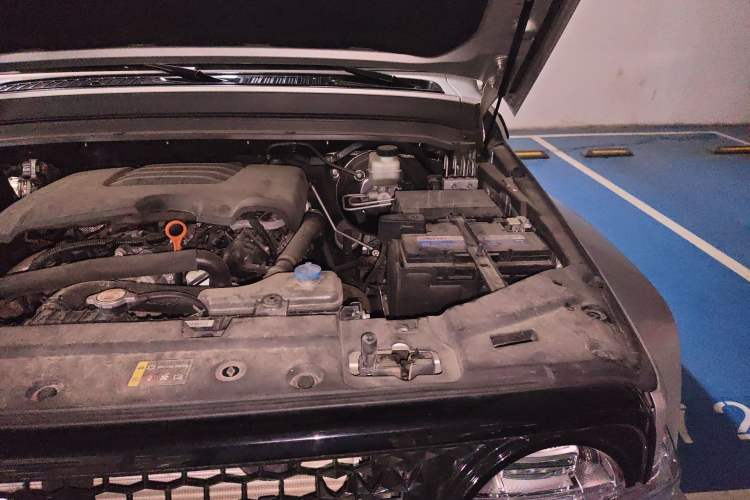Used Cyberspace Tank 300 2021 2.0T Cyber Tank Engine Bay Left