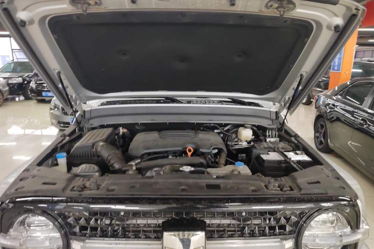 Used Cyberspace Tank 300 2021 2.0T Cyber Tank Engine Bay