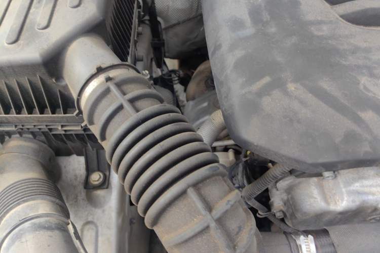 Used Cyberspace Tank 300 2021 2.0T Cyber Tank Engine Bay Right