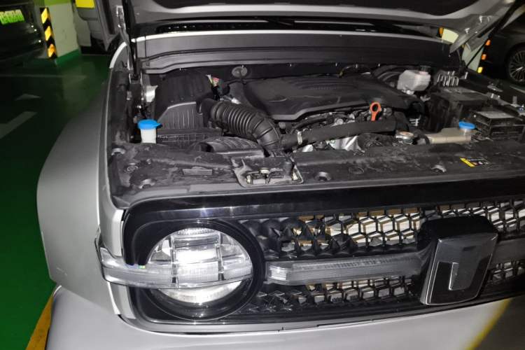Used Cyberspace Tank 300 2021 2.0T Cyber Tank Engine Bay Right