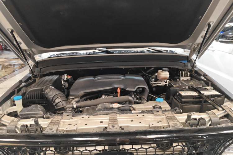 Used Cyberspace Tank 300 2021 2.0T Cyber Tank Engine Bay