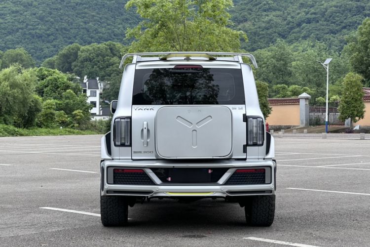 Used Cyberspace Tank 300 2021 2.0T Cyber Tank Exterior 3