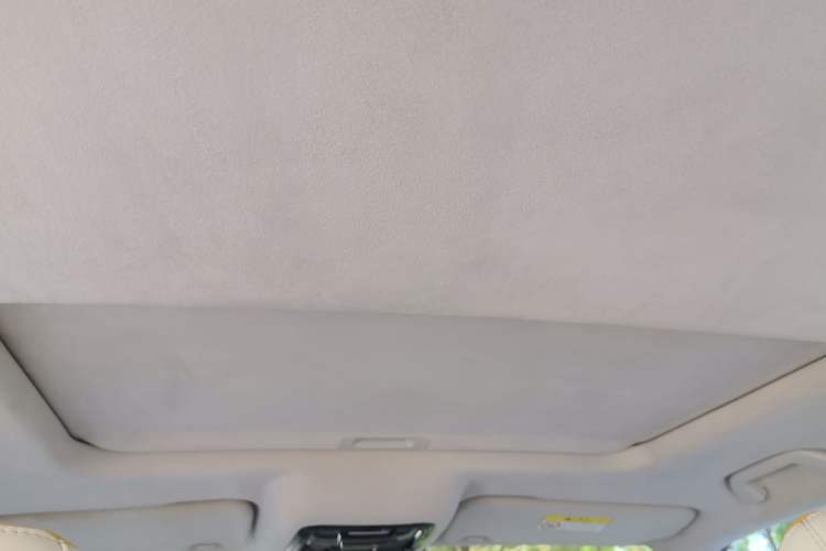Used Cyberspace Tank 300 2021 2.0T Cyber Tank Headliner