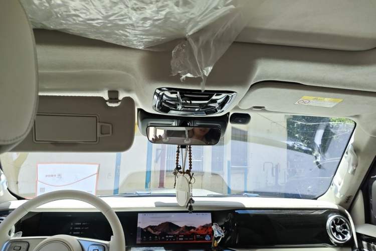 Used Cyberspace Tank 300 2021 2.0T Cyber Tank Headliner
