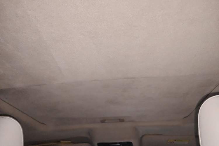Used Cyberspace Tank 300 2021 2.0T Cyber Tank Headliner