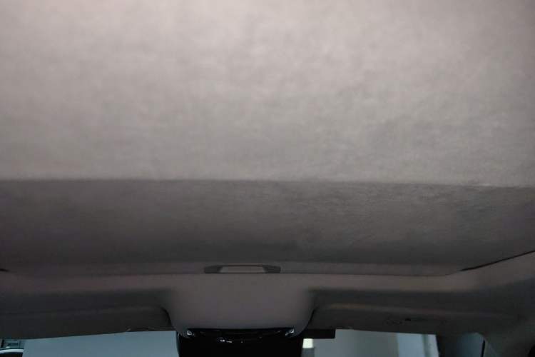 Used Cyberspace Tank 300 2021 2.0T Cyber Tank Headliner