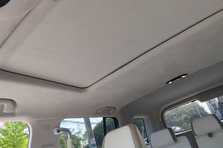 Used Cyberspace Tank 300 2021 2.0T Cyber Tank Headliner