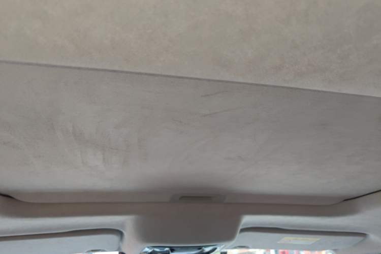Used Cyberspace Tank 300 2021 2.0T Cyber Tank Headliner