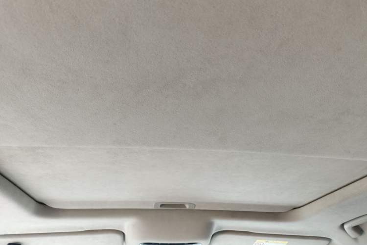 Used Cyberspace Tank 300 2021 2.0T Cyber Tank Headliner