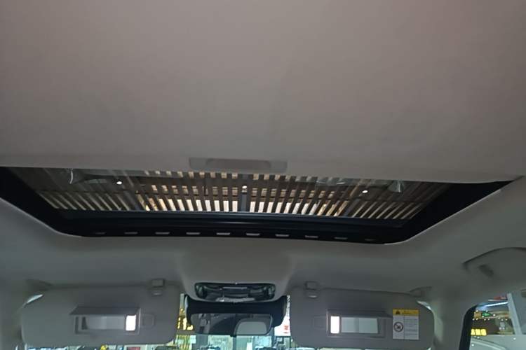 Used Cyberspace Tank 300 2021 2.0T Cyber Tank Headliner
