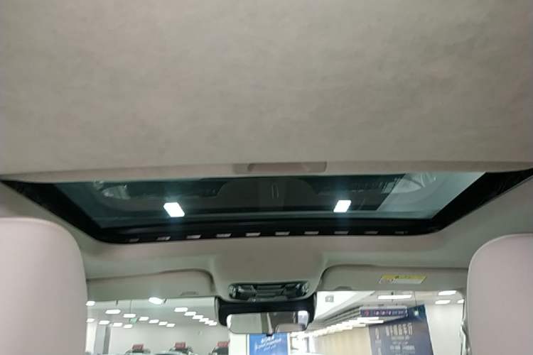 Used Cyberspace Tank 300 2021 2.0T Cyber Tank Headliner