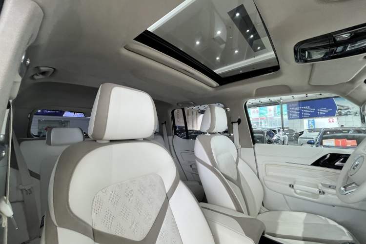 Used Cyberspace Tank 300 2021 2.0T Cyber Tank Headliner