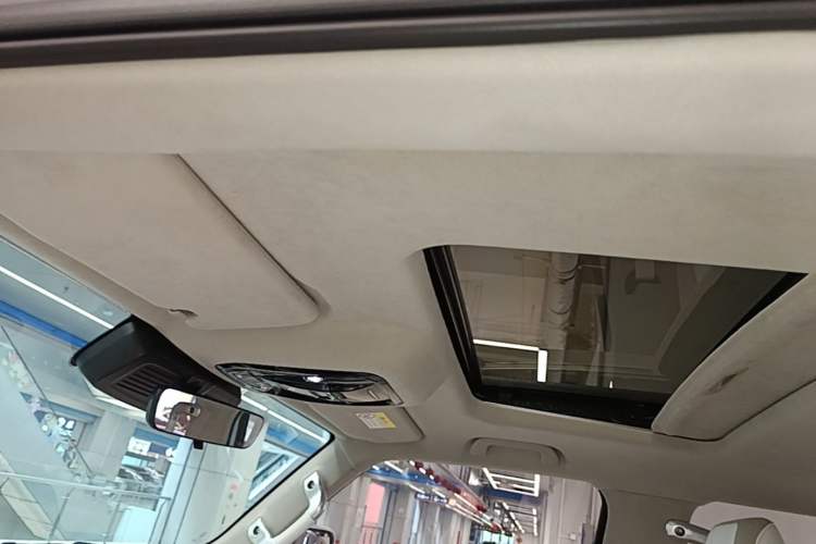 Used Cyberspace Tank 300 2021 2.0T Cyber Tank Headliner