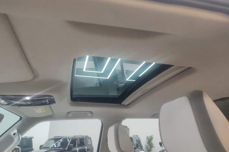 Used Cyberspace Tank 300 2021 2.0T Cyber Tank Headliner
