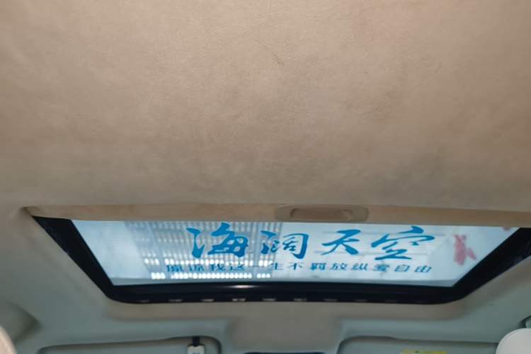 Used Cyberspace Tank 300 2021 2.0T Cyber Tank Headliner