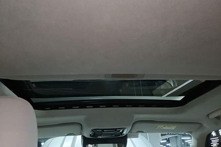 Used Cyberspace Tank 300 2021 2.0T Cyber Tank Headliner