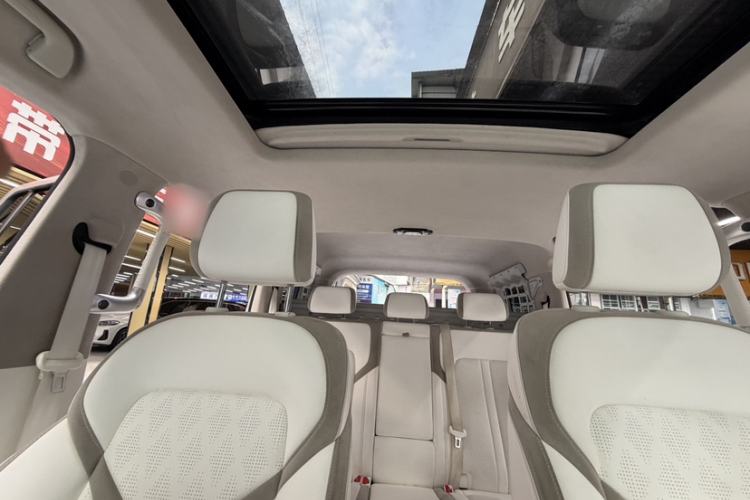 Used Cyberspace Tank 300 2021 2.0T Cyber Tank Headliner