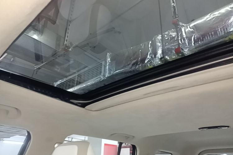 Used Cyberspace Tank 300 2021 2.0T Cyber Tank Headliner