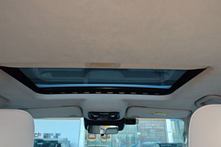 Used Cyberspace Tank 300 2021 2.0T Cyber Tank Headliner