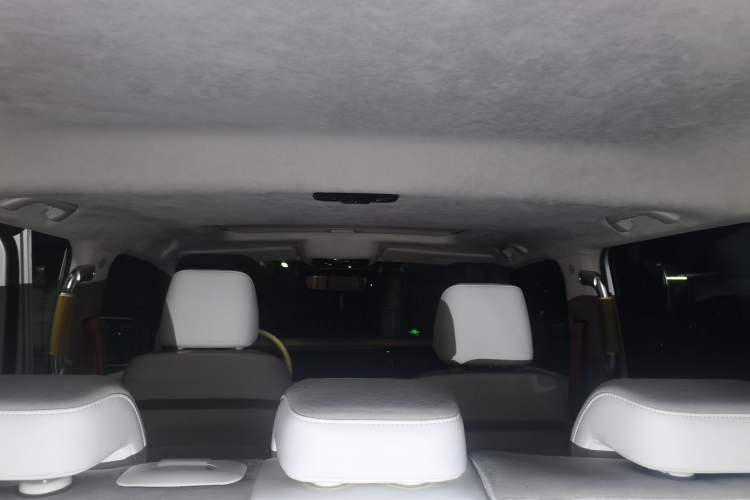Used Cyberspace Tank 300 2021 2.0T Cyber Tank Headliner