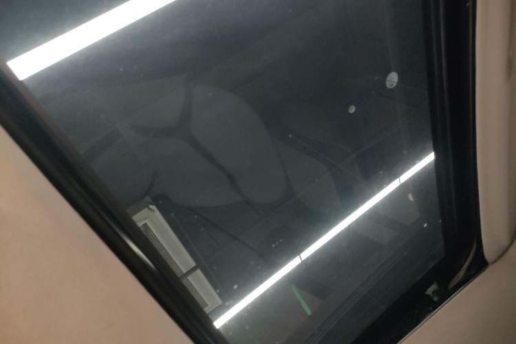 Used Cyberspace Tank 300 2021 2.0T Cyber Tank Headliner