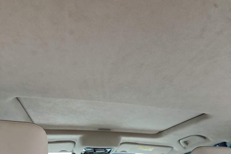 Used Cyberspace Tank 300 2021 2.0T Cyber Tank Headliner