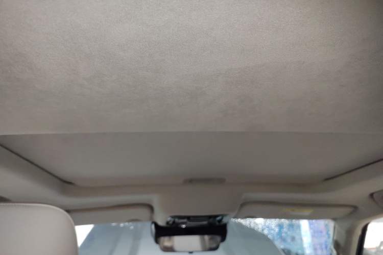 Used Cyberspace Tank 300 2021 2.0T Cyber Tank Headliner