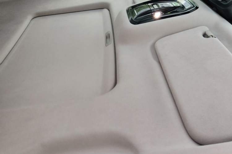 Used Cyberspace Tank 300 2021 2.0T Cyber Tank Headliner
