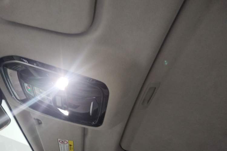 Used Cyberspace Tank 300 2021 2.0T Cyber Tank Headliner