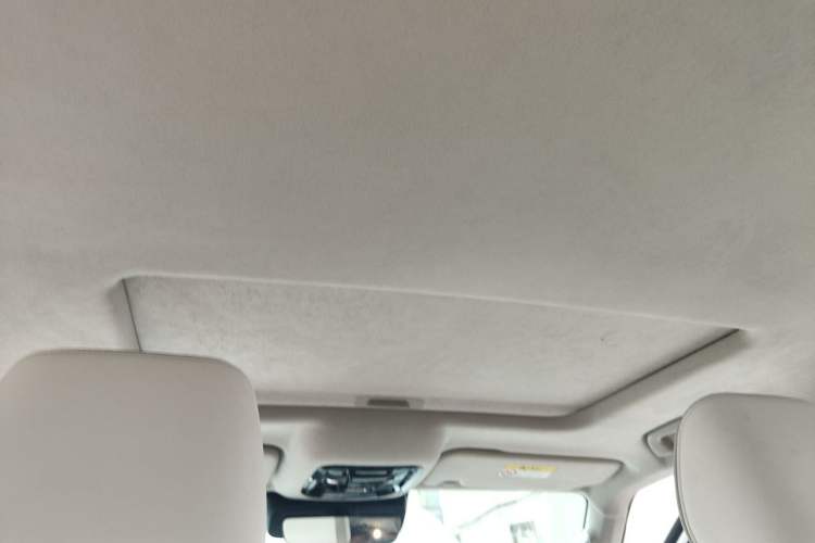Used Cyberspace Tank 300 2021 2.0T Cyber Tank Headliner