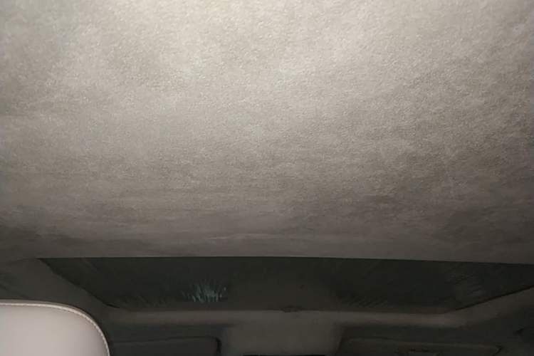 Used Cyberspace Tank 300 2021 2.0T Cyber Tank Headliner