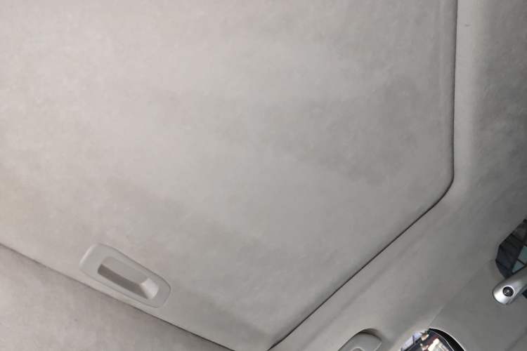 Used Cyberspace Tank 300 2021 2.0T Cyber Tank Headliner
